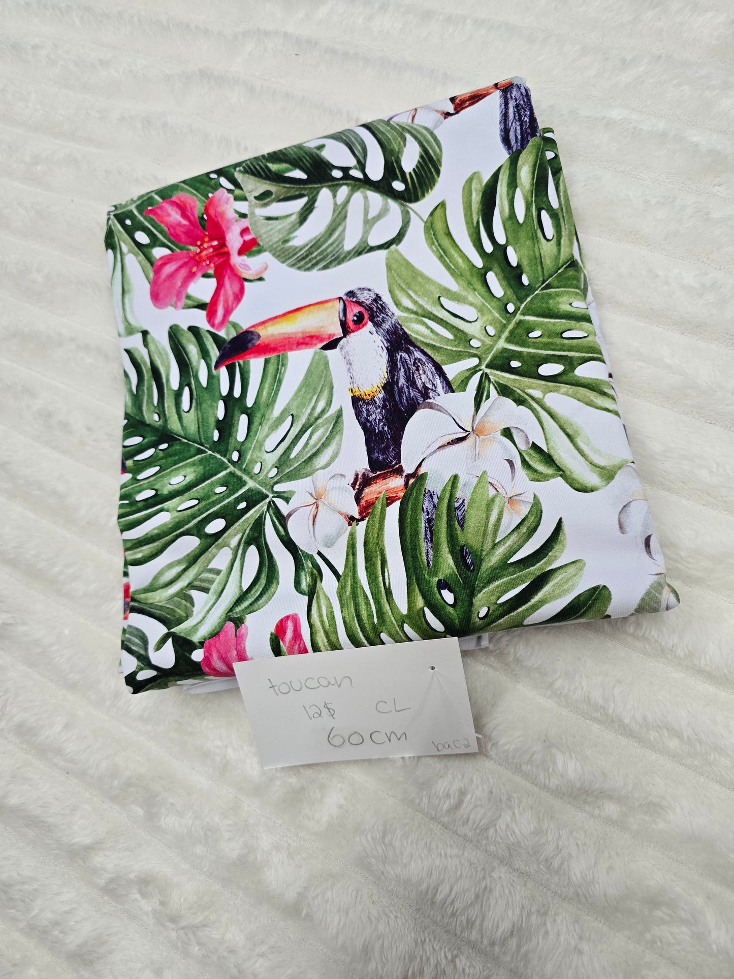 Toucan, CL