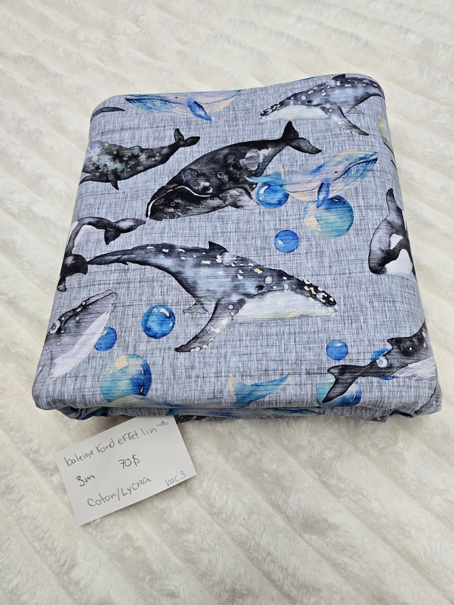 Baleine lin, CL