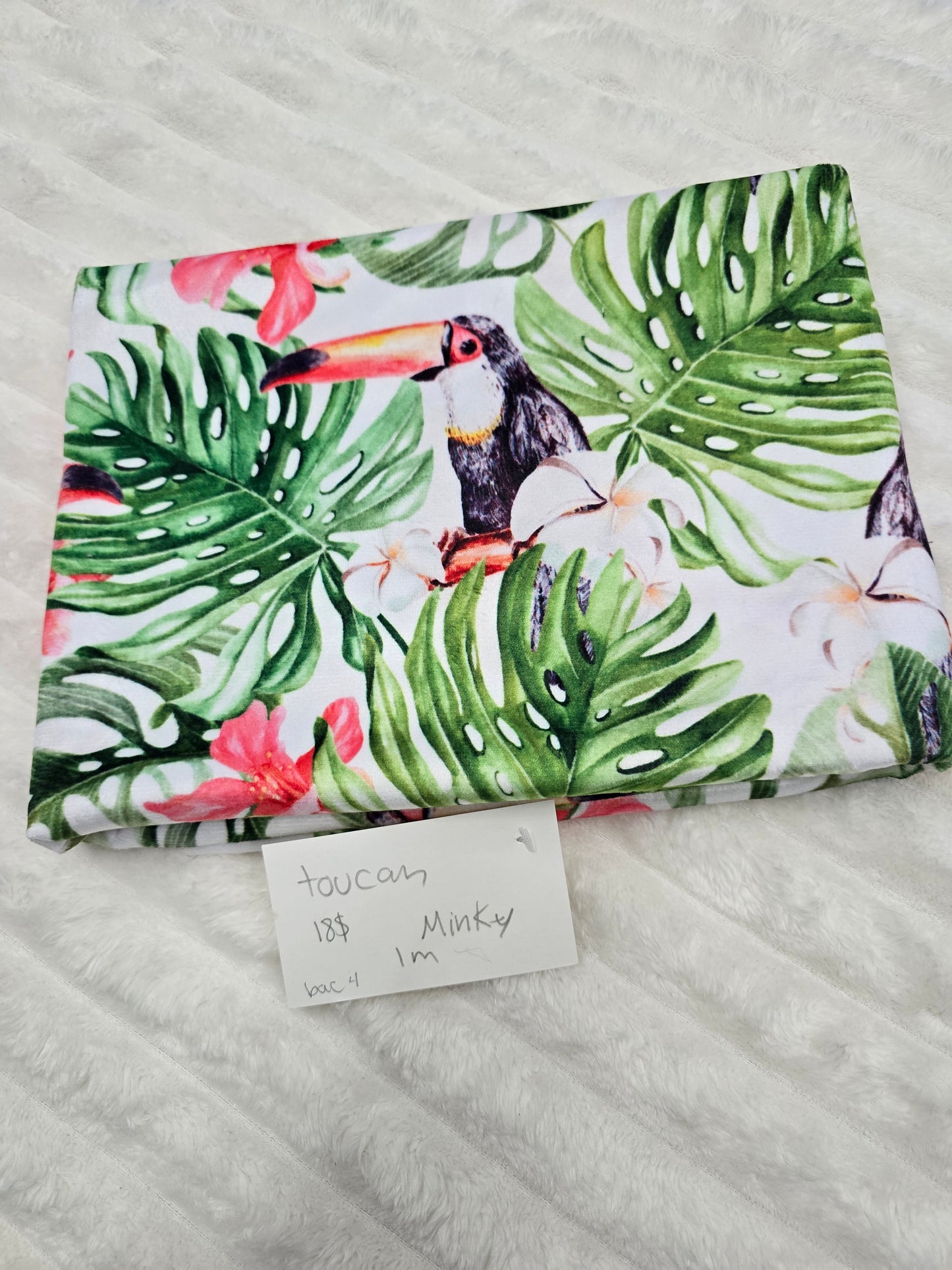 Toucan , minky
