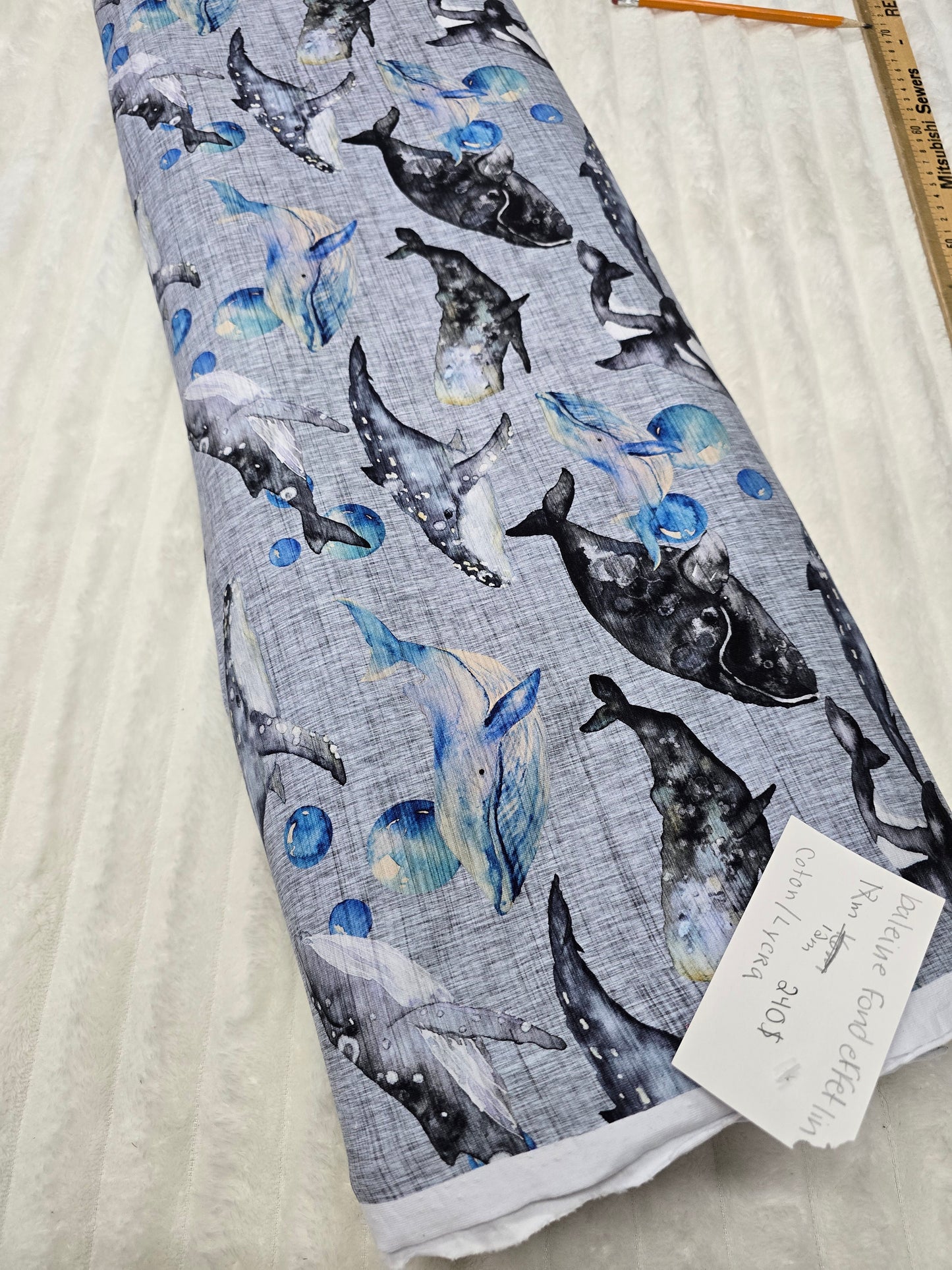 Baleine lin , CL