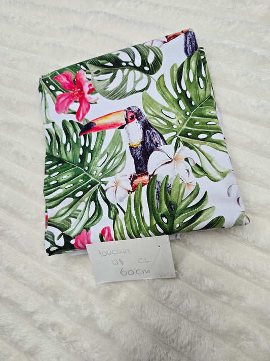 Toucan,  CL