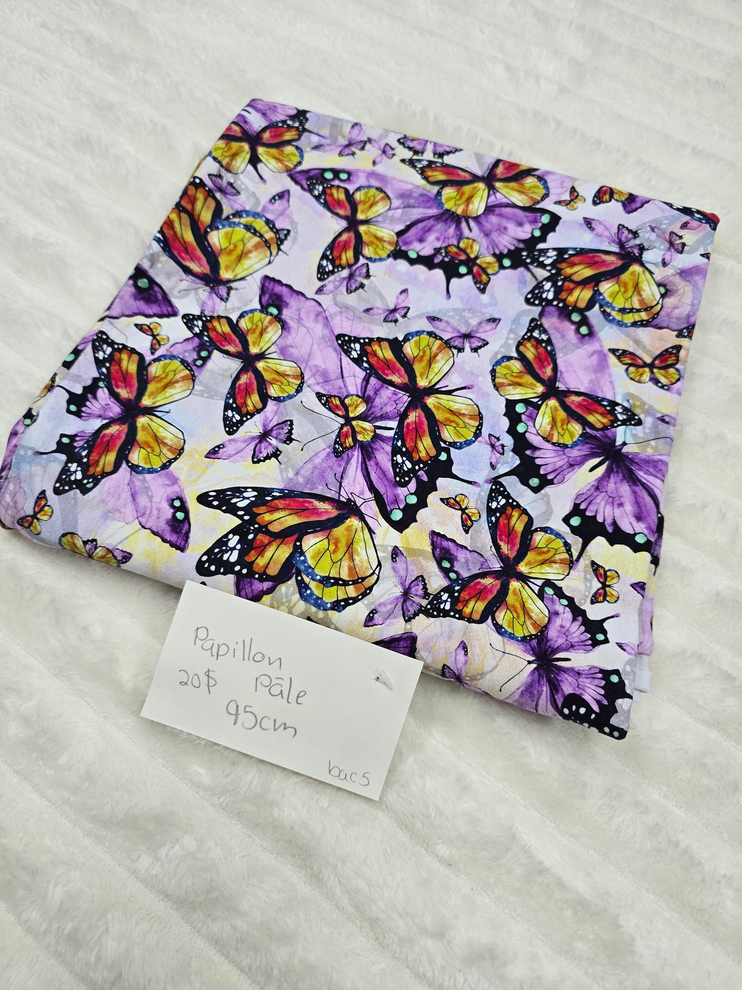 Papillon pale, CL