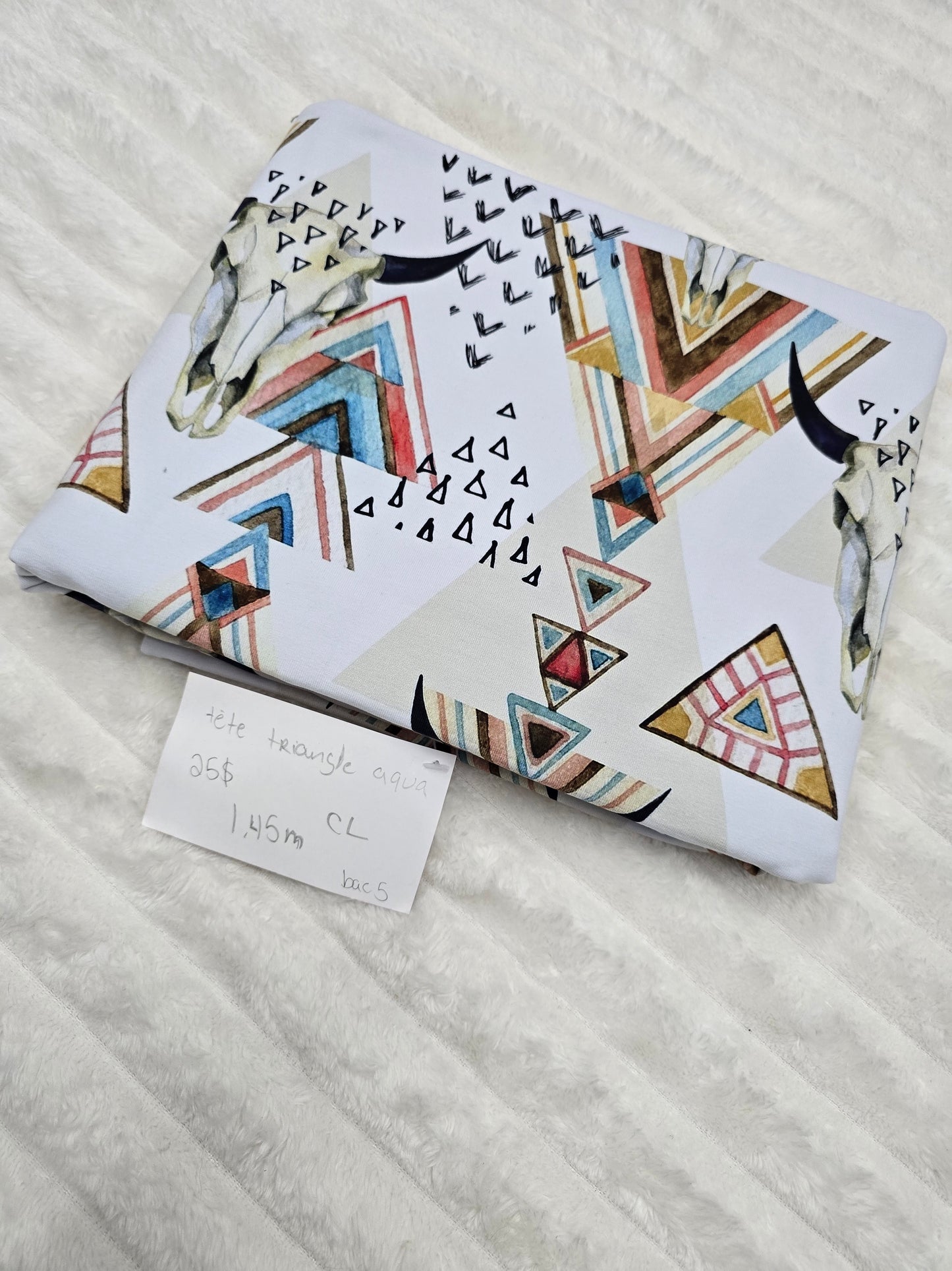 Tête triangle, CL