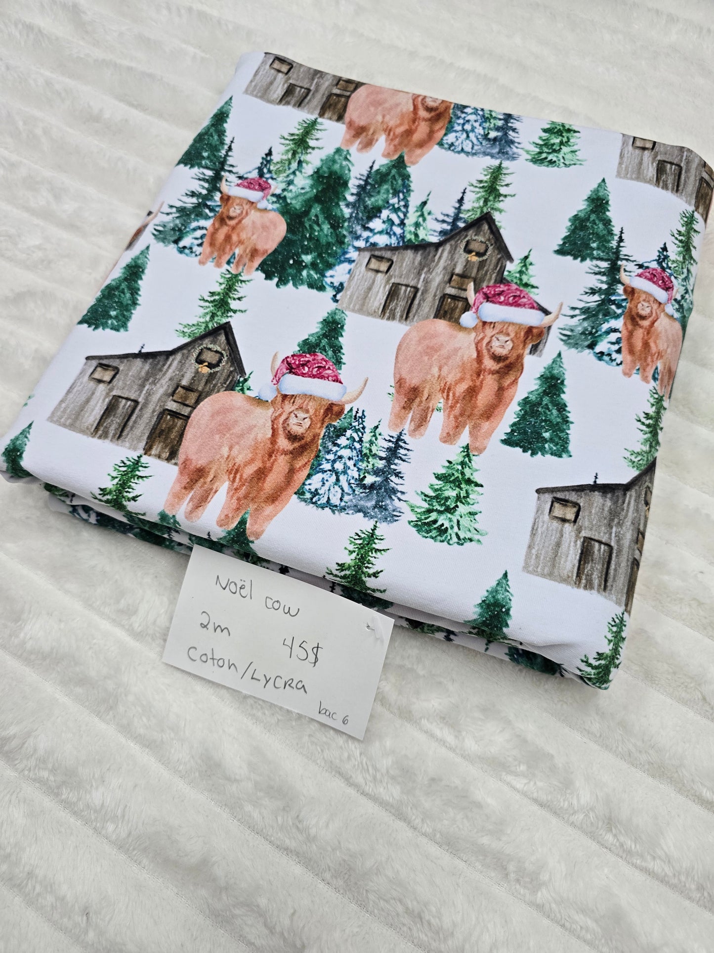 Noel cow, CL